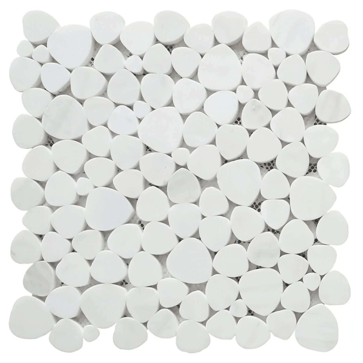 12x12 Bianco Dolomite Pebble Mosaic Honed