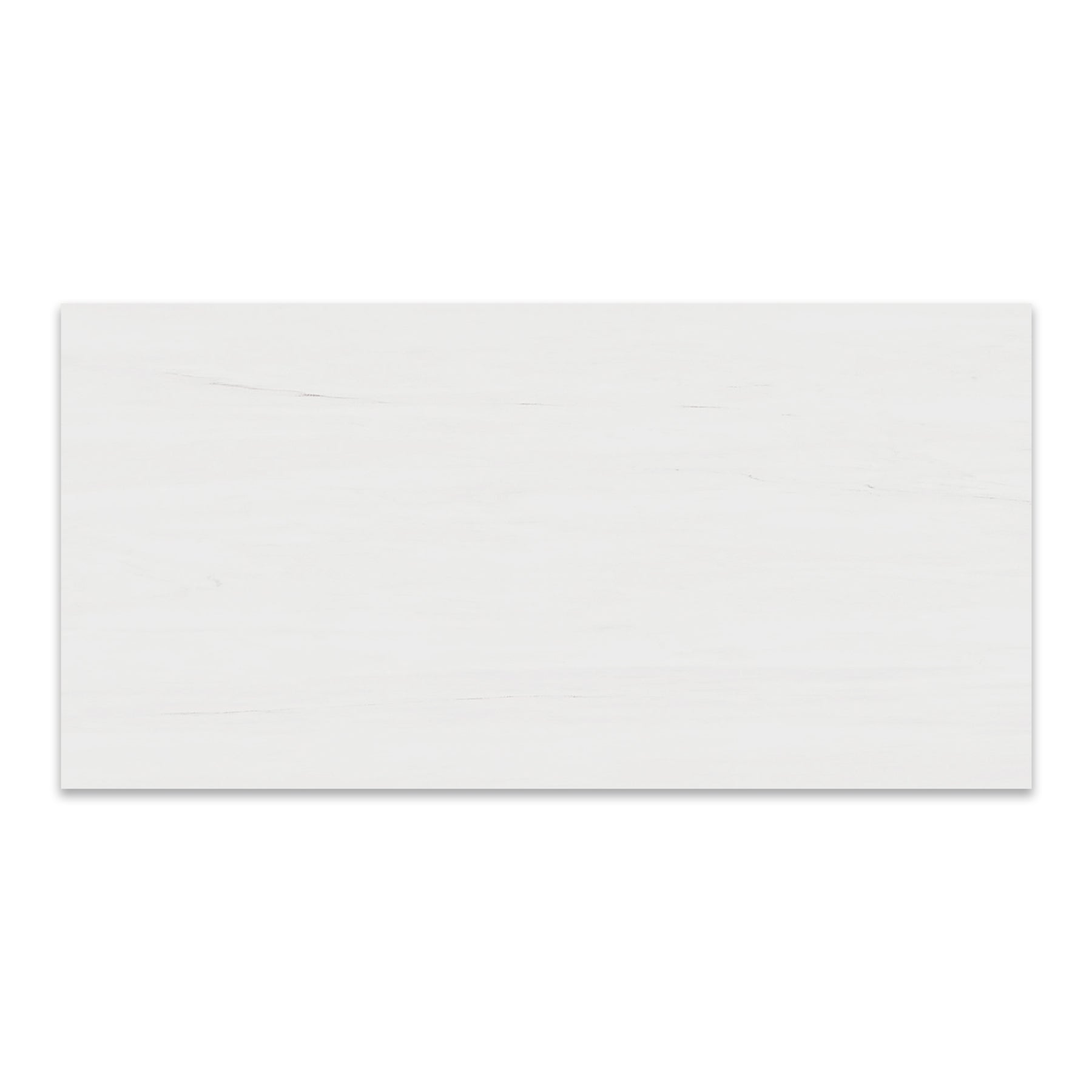 24x48 Bianco Dolomite Marble Tile Honed