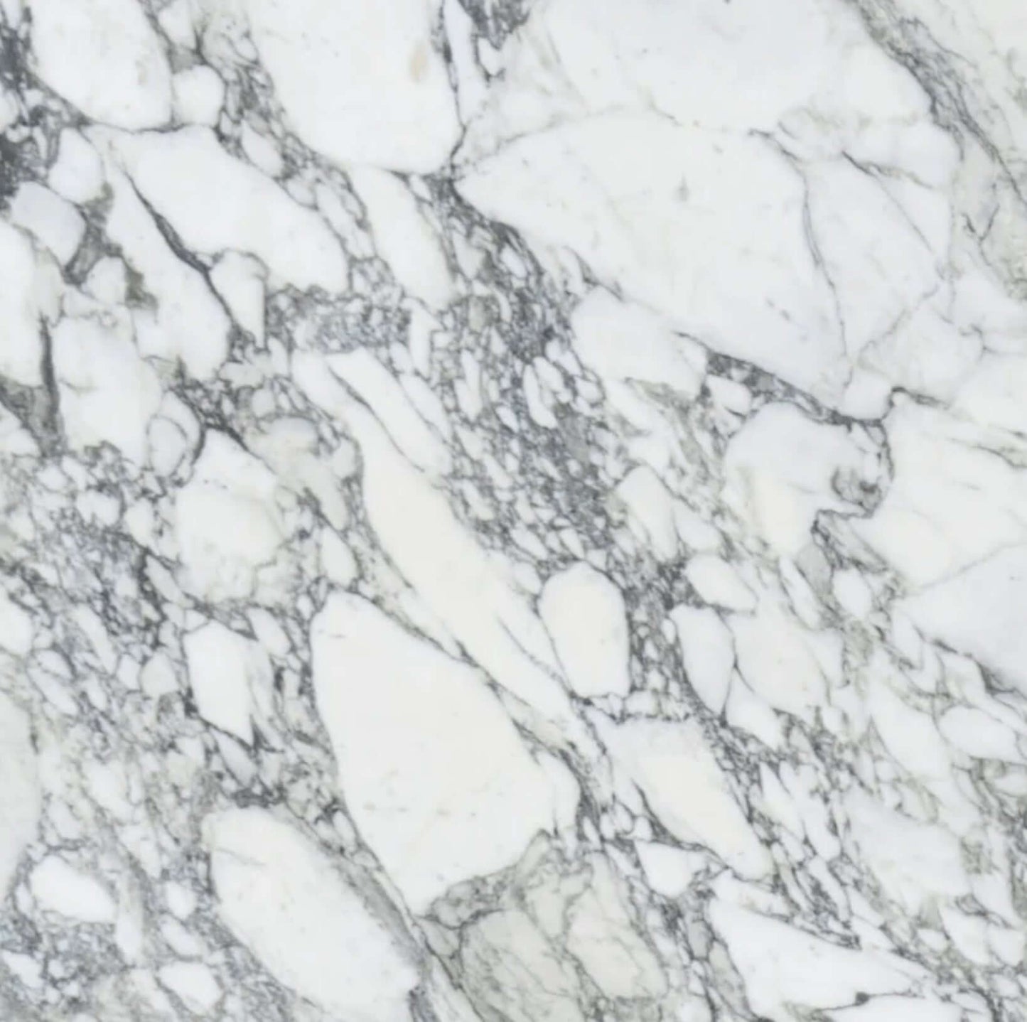 24x24 Arabescato Polished Deluxe Italian Marble