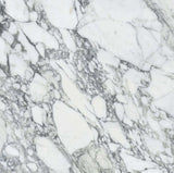 24x24 Arabescato Polished Deluxe Italian Marble