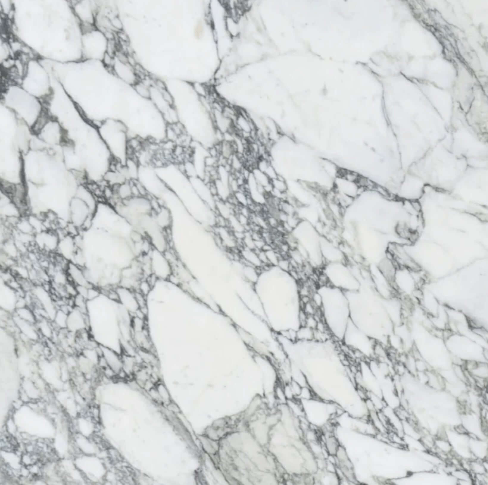 24x24 Arabescato Polished Deluxe Italian Marble
