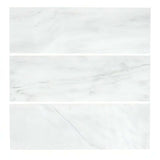 2X8 Carrara White Subway Tile