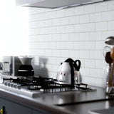 3x12 Thassos White Marble From Greece