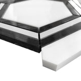 Bianco Dolomite Marble Georama Hexagon with Nero Marquina Black Strips Mosaic Tile Honed