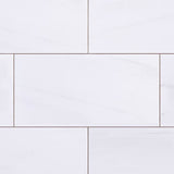 9x18 Bianco Dolomite Marble Subway Tile Honed