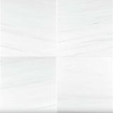 Bianco Dolomie Marble Tile 18x18