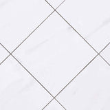 Bianco Dolomie Marble Tile 18x18