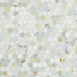 2” Cloudland Hexagon 12" X 12" Polished Marble Mosaic Floor And Wall Tile