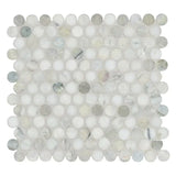 Cloudland Penny Round Pattern 12" X 12" Polished Marble Mosaic Floor And Wall Tile
