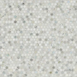 Cloudland Penny Round Pattern 12" X 12" Polished Marble Mosaic Floor And Wall Tile