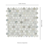 Cloudland Penny Round Pattern 12" X 12" Polished Marble Mosaic Floor And Wall Tile