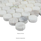 Cloudland Penny Round Pattern 12" X 12" Polished Marble Mosaic Floor And Wall Tile