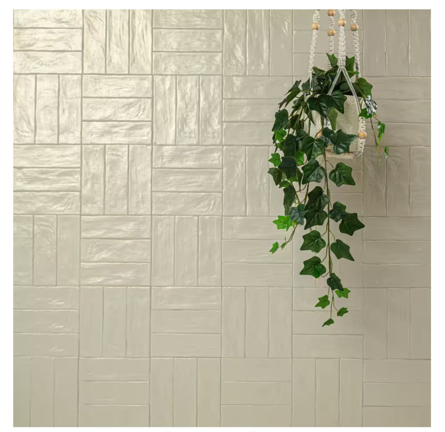 Zelyge Aloe Zest 2.5x8 Satin Ceramic Zellige Look Wall Tile