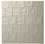 Zelyge Aloe Zest 4” x 4” Satin Ceramic Zellige Look Wall Tile