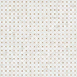 MSI Bianco Dolomite Crema Dotty Polished Marble Mosaic