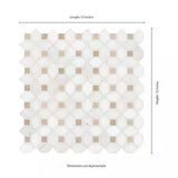 MSI Bianco Dolomite Crema Dotty Polished Marble Mosaic
