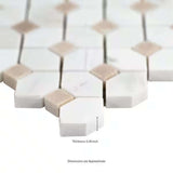 MSI Bianco Dolomite Crema Dotty Polished Marble Mosaic