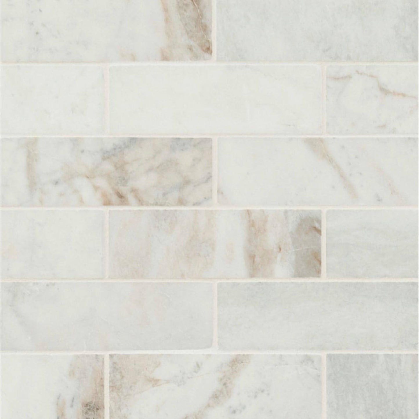 Arabescato Venato Calacatta White 2x6 Honed
