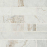 Arabescato Venato Calacatta White 2x6 Honed