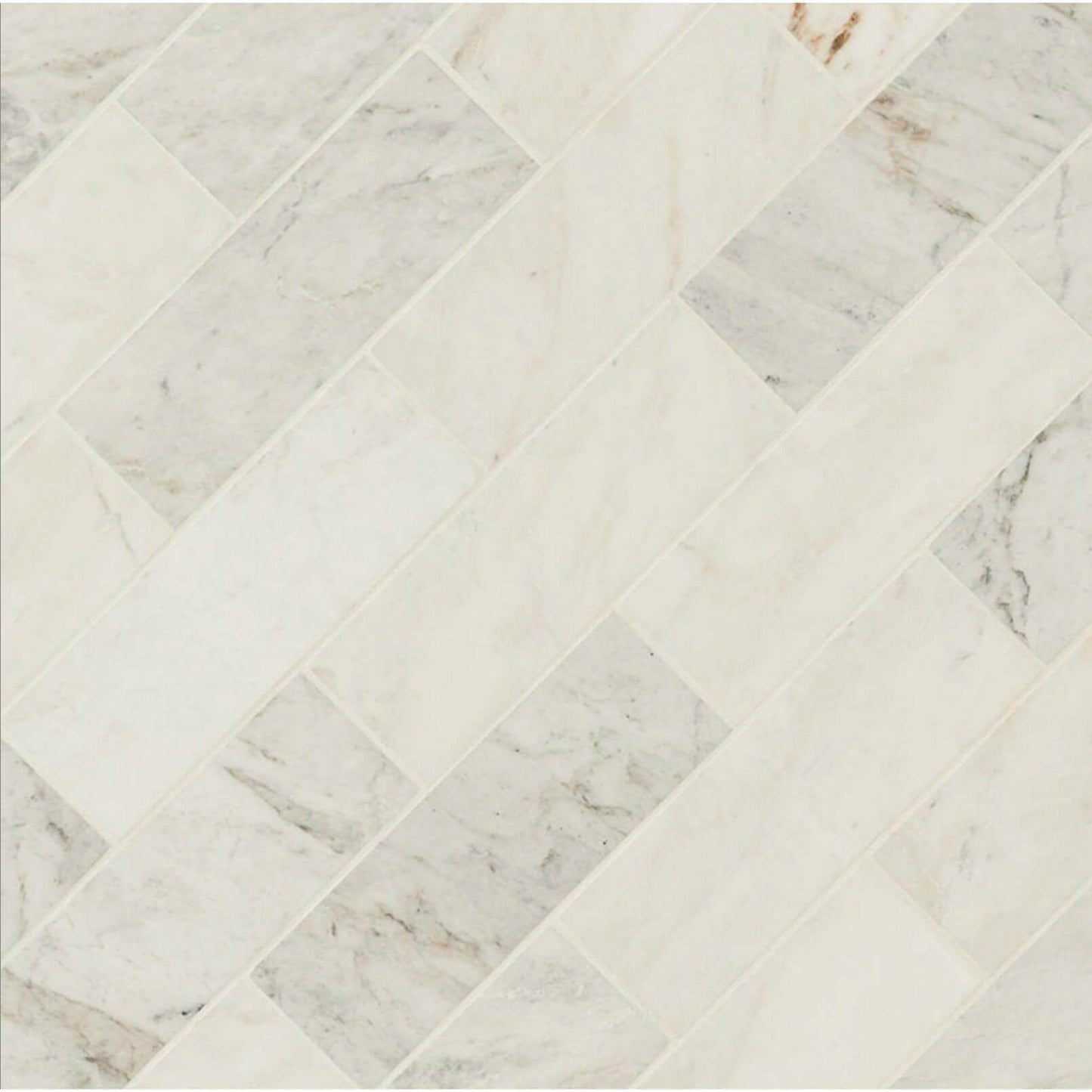 Arabescato Venato Calacatta White 4x12 Honed