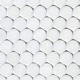 Bianco Dolomite Penny Round