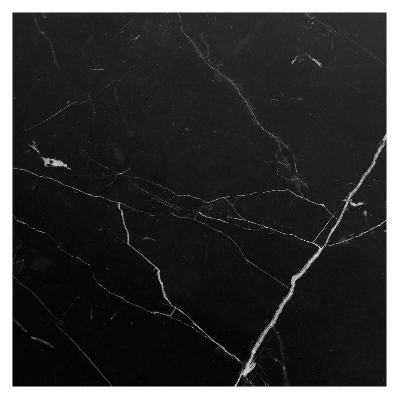 24x24 Nero Marquina Black Marble Tile Honed