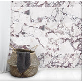 Calacatta Violet Purple Marble Tile 12x24