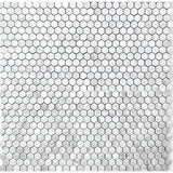 Carrara White Marble 1" Hexagon Mosaic