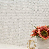 Carrara White Penny Round Porcelain Tile