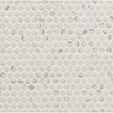 Carrara White Penny Round Porcelain Tile