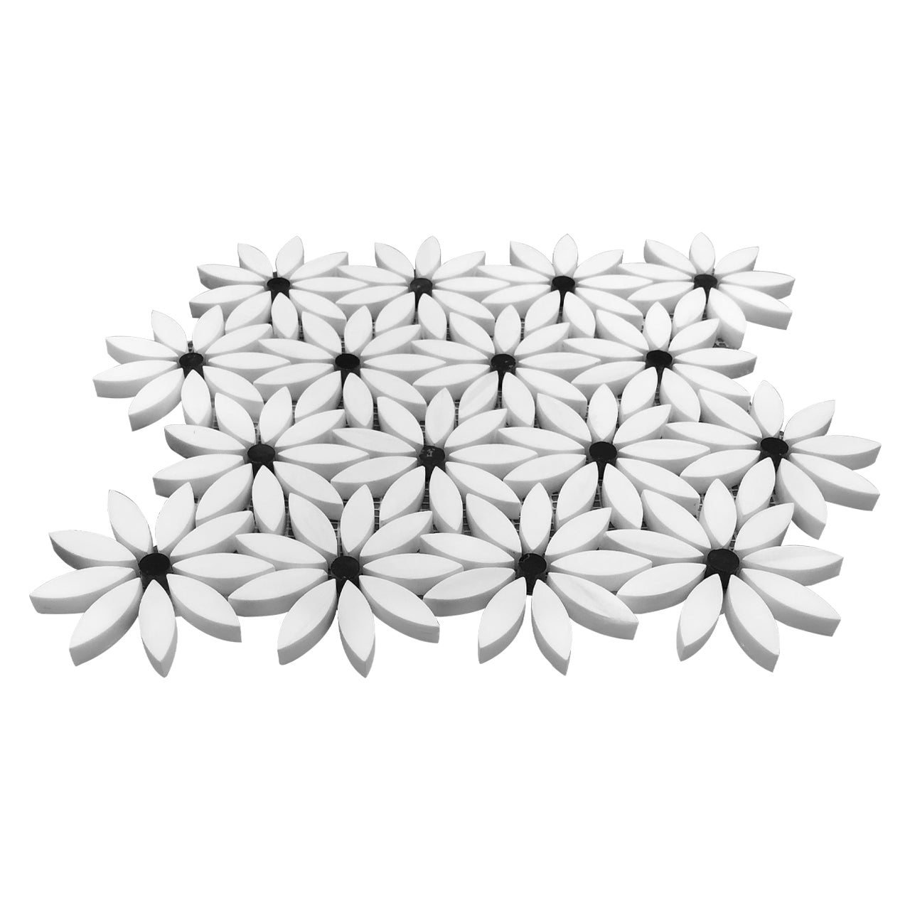 Bianco Dolomite Marble With Nero Marquina Black Accent Daisy Flower Waterjet Mosaic Tile Honed