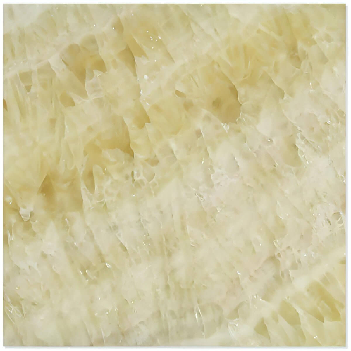 Honey Onyx Tile (Micro-Beveled) 3x6 3/8 Polished