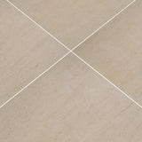 LIVINGSTYLE BEIGE 24X24 MATTE
