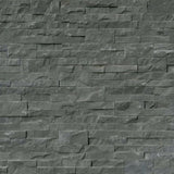 Mountain Bluestone 6x24 Ledger Stone Panel