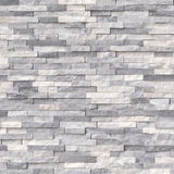 MSI Alaska Gray Split Face 12 in. x 12 in. x 10 mm Textured Mosaic