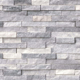 MSI Alaska Gray Split Face 12 in. x 12 in. x 10 mm Textured Mosaic