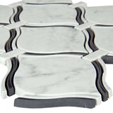 MSI Danza Arabesque 10" x 11" Carrara White, Nero Marquina