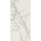 Prexious Mountain Treasure Glossy 12 x 24