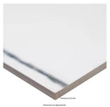 Savoy Azula 24x48 Porcelain Floor and Wall Tile