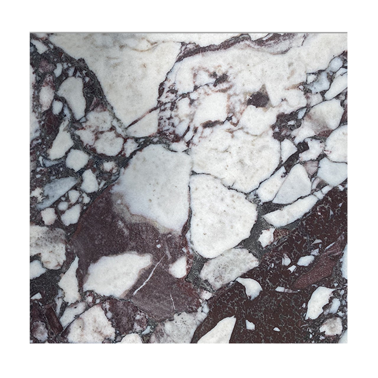 Calacatta Viola Marble 12x12 Tile Honed
