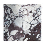 Calacatta Viola Marble 12x12 Tile Honed