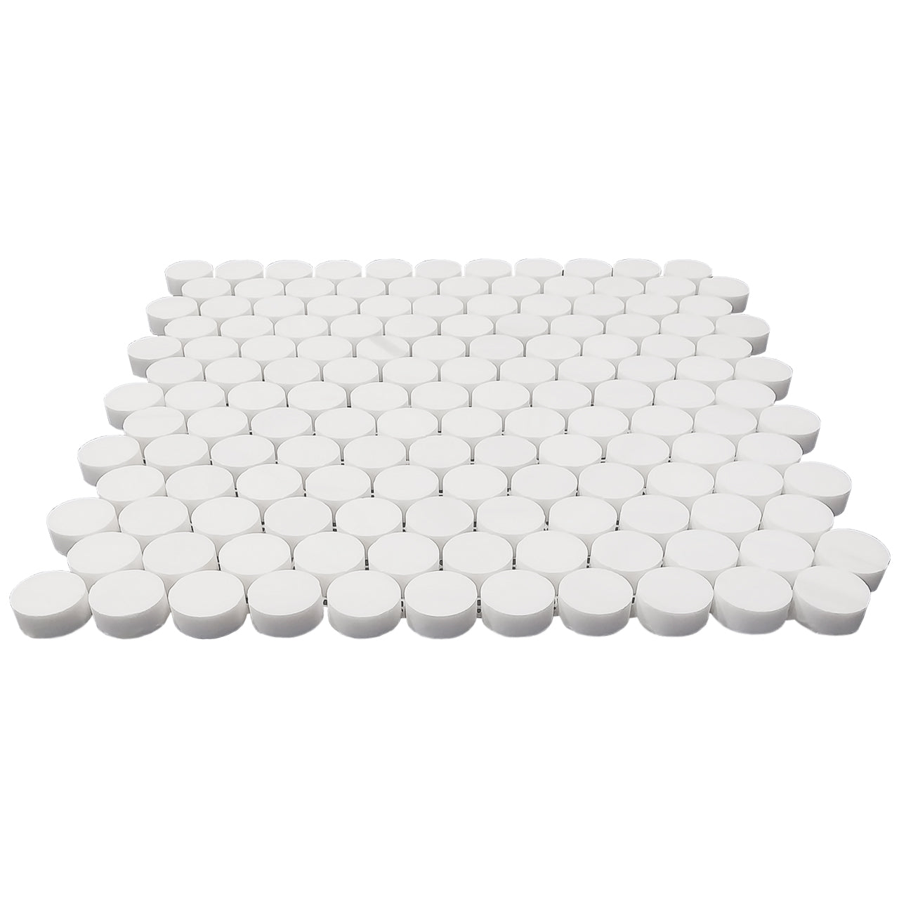 Bianco Dolomite Penny Round Mosaic Tile Polished