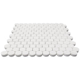 Bianco Dolomite Penny Round Mosaic Tile Honed