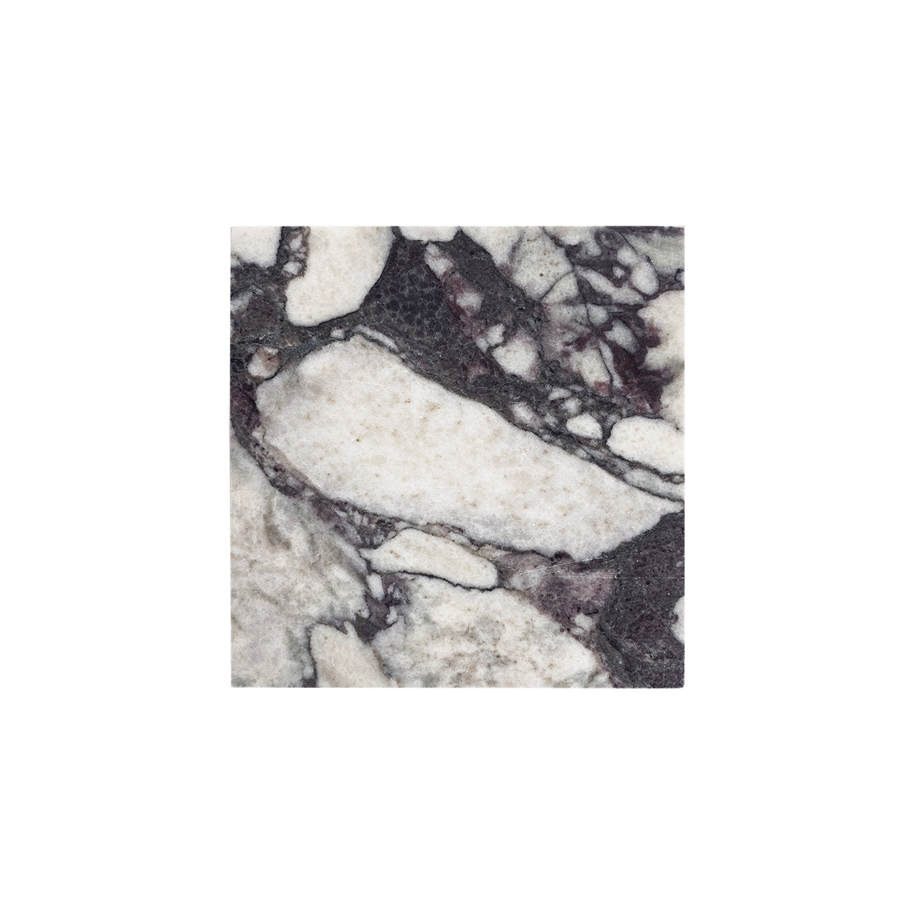 Calacatta Viola Marble 4x4 Tile Honed