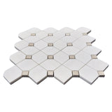 Bianco Dolomite Marble Dotty Mosaic Tile with Crema Dots Polished