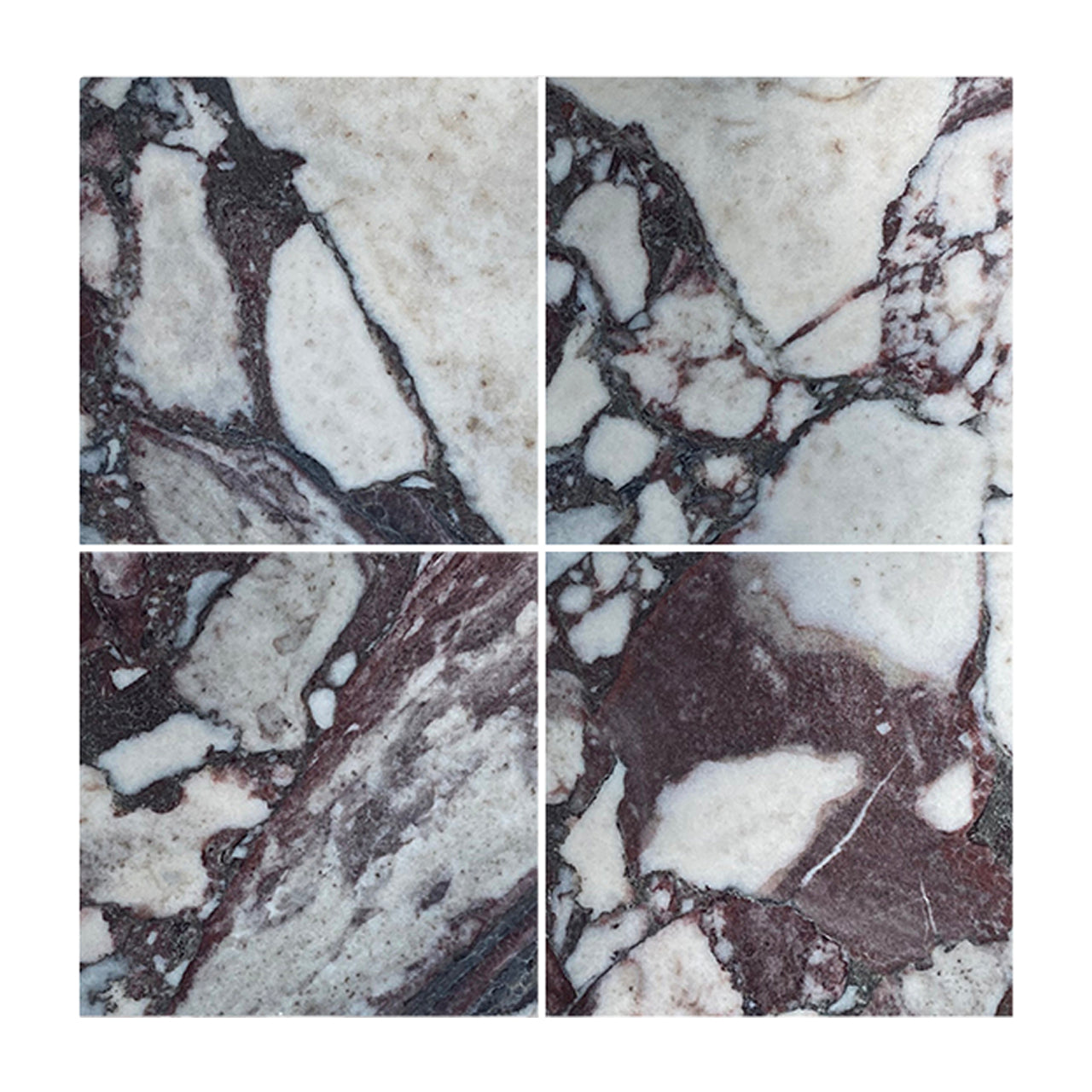 Calacatta Viola 6x6 Marble Tile Polished