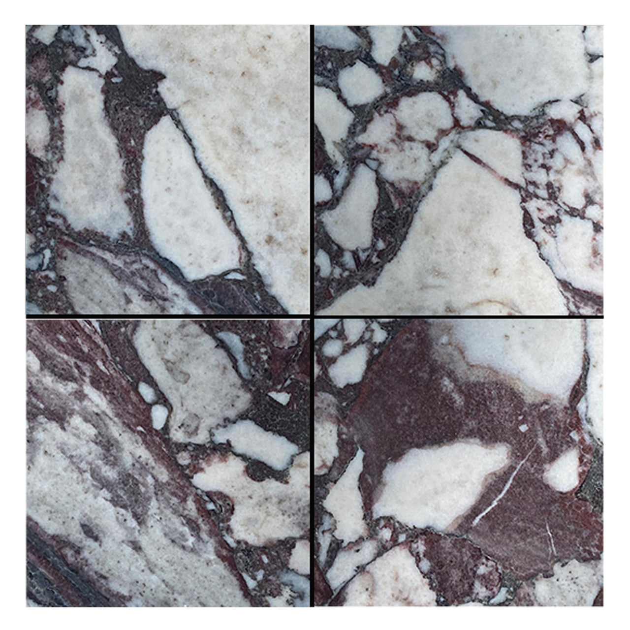 Calacatta Viola 6x6 Marble Tile Honed