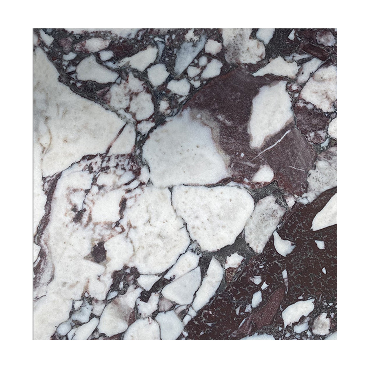 Calacatta Viola Marble 12x12 Tile Polished