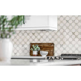 Thassos White + Carrara White Vera Ann Polished Star and Cross Pattern Tile