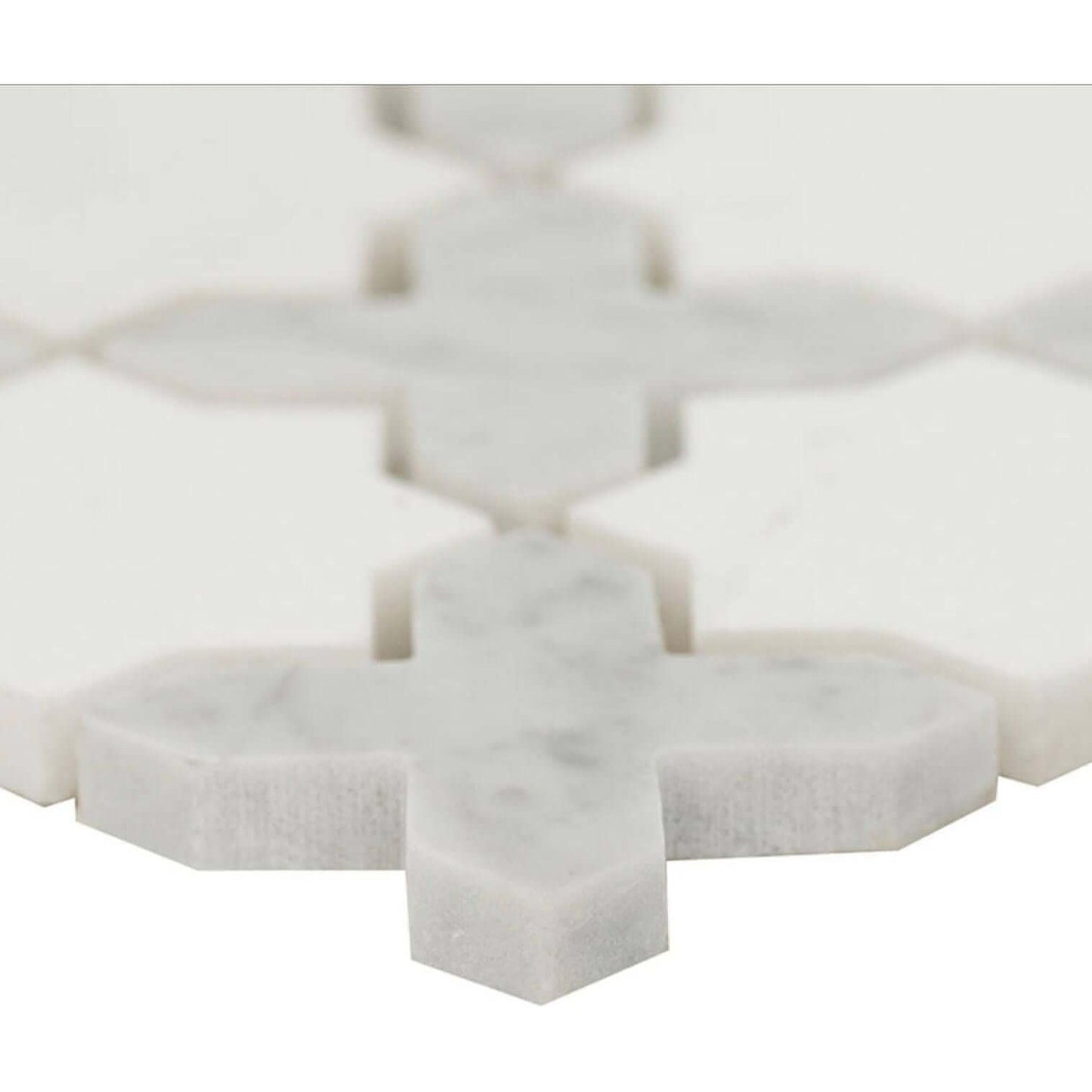 Thassos White + Carrara White Vera Ann Polished Star and Cross Pattern Tile